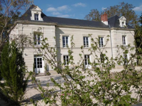 Отель Le petit domaine des Aubuis  Шинон